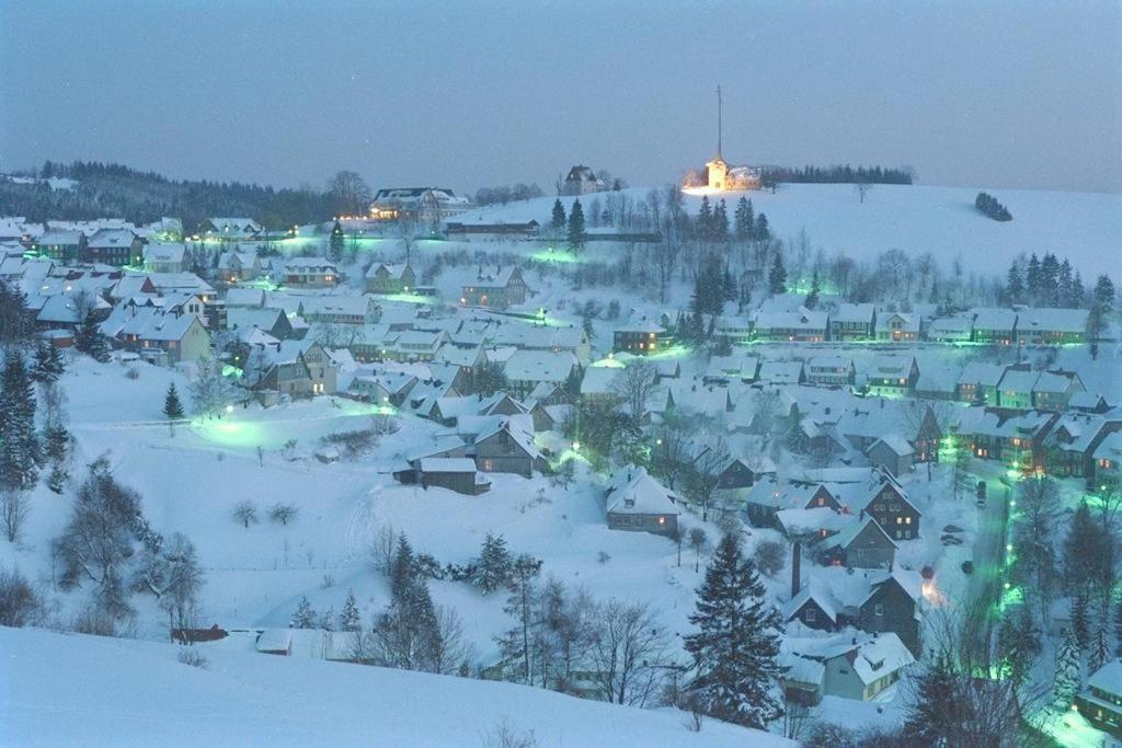 Tolles Schoenes Ferienhaus Mit Grosser Grillterrasse Fuer 12 Personen Im Harz Sankt Andreasberg Buitenkant foto
